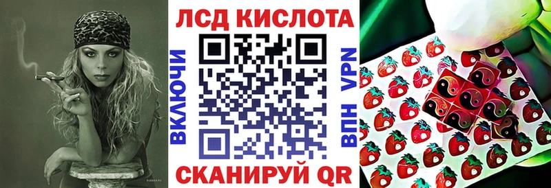 Купить где  Новохопёрск  Наркотические марки 1500мкг 
