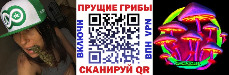 Галлюциногенные грибы GOLDEN TEACHER Новохопёрск