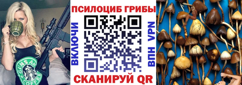 Галлюциногенные грибы Psilocybine cubensis  Купить закладки  Новохопёрск 